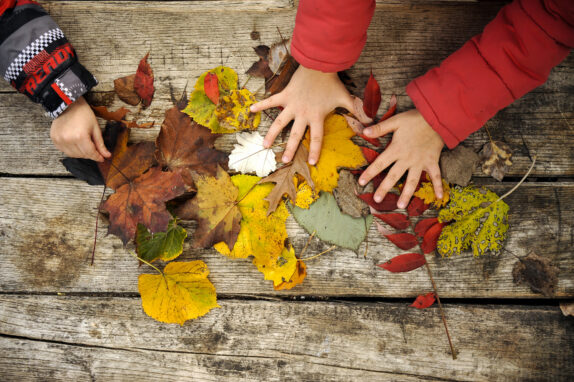 Programmes des vacances d’automne 2025